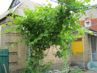 Покровськ/Дурняк